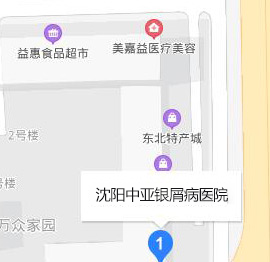 沈阳中亚银屑病医院来院路线